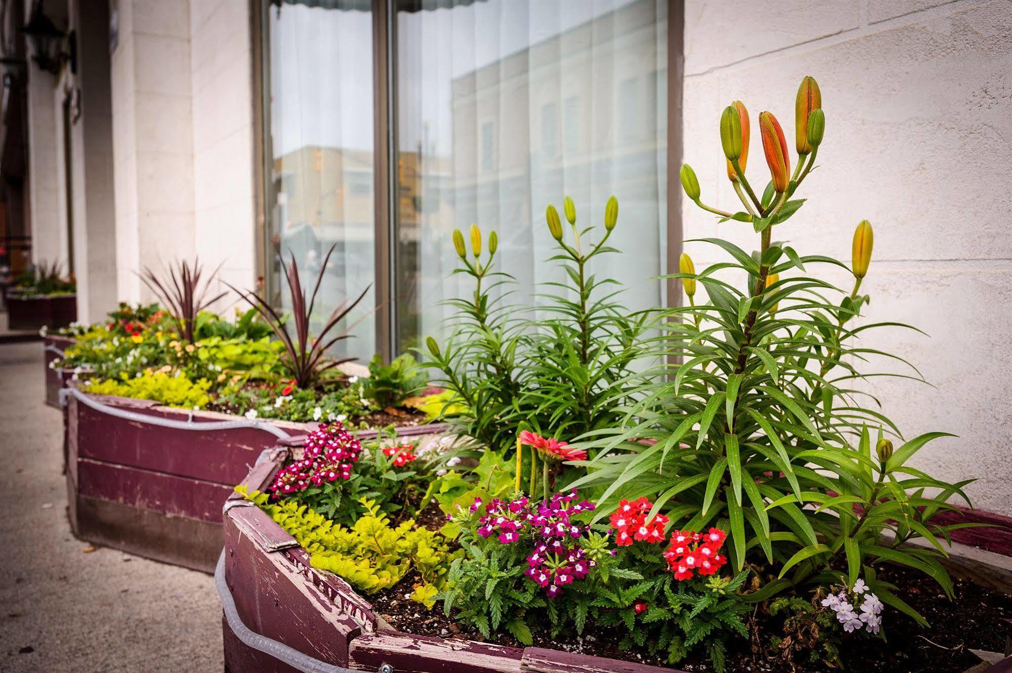Peterborough Inn & Suites Hotel Zewnętrze zdjęcie